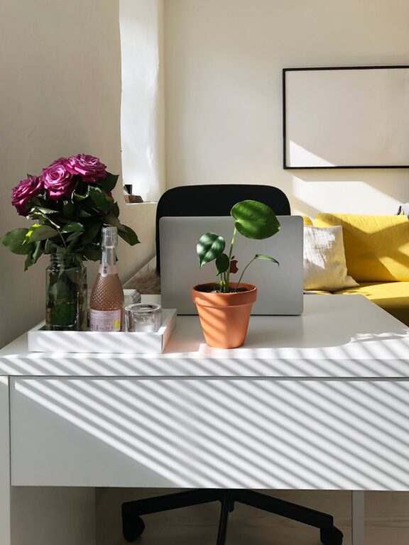 Cómo organizar un espacio de trabajo eficiente y cómodo en casa